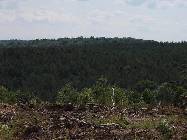 LOT18 Summer City Rd, Evensville, TN 37332