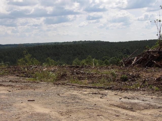 LOT18 Summer City Rd, Evensville, TN 37332