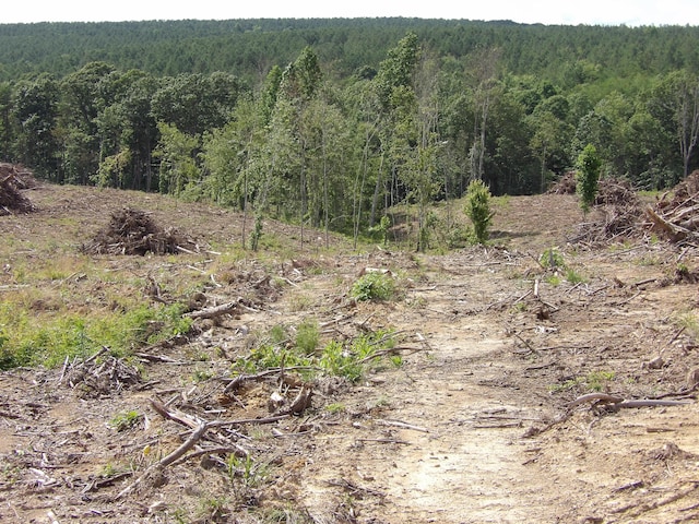 LOT18 Summer City Rd, Evensville, TN 37332