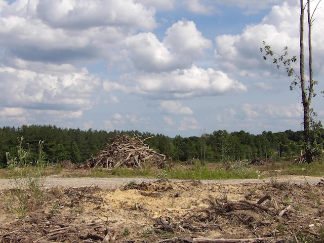 LOT18 Summer City Rd, Evensville, TN 37332