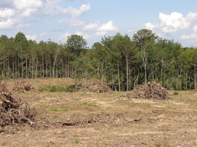 LOT18 Summer City Rd, Evensville, TN 37332