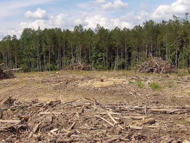 LOT18 Summer City Rd, Evensville, TN 37332
