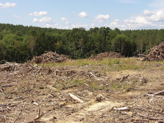 LOT18 Summer City Rd, Evensville, TN 37332