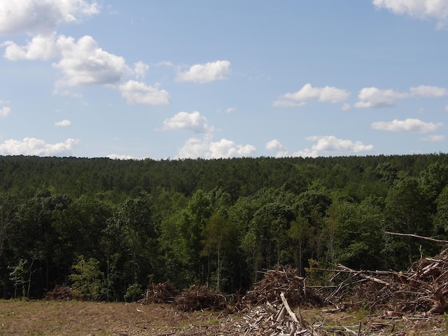 LOT18 Summer City Rd, Evensville, TN 37332