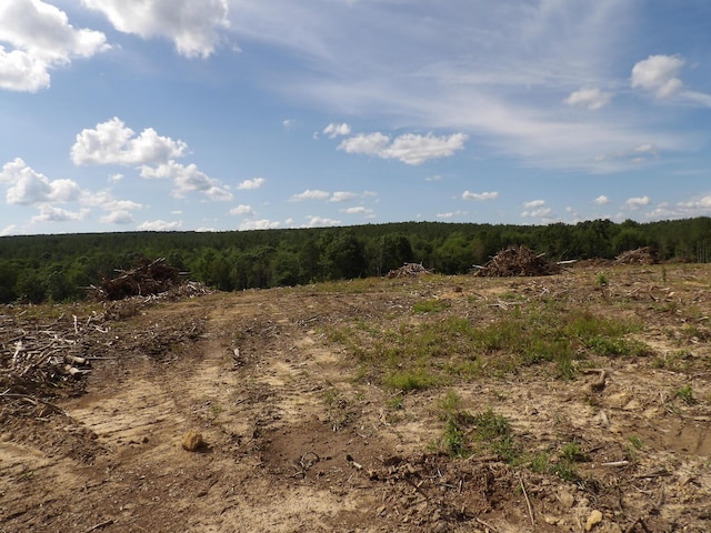 LOT18 Summer City Rd, Evensville, TN 37332