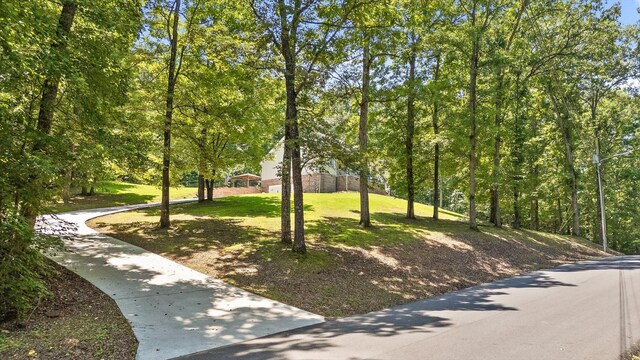 215 Virgil Thomas Dr, Kimball, TN 37347 - photo 3