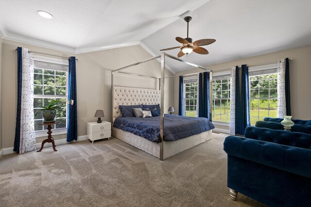 215 Virgil Thomas Dr, Kimball, TN 37347 - photo 28