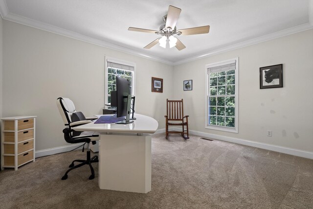 215 Virgil Thomas Dr, Kimball, TN 37347 - photo 35