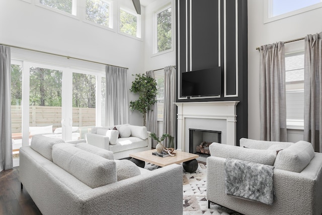 09 Emmeline Way Unit 09, Hixson, TN 37343 - living room featuring a towering ceiling, wood finished floors, and a fireplace
