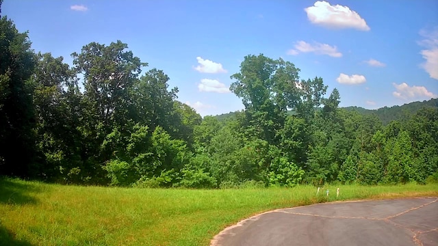 0 Mill Dr Unit 19, Decatur, TN 37322