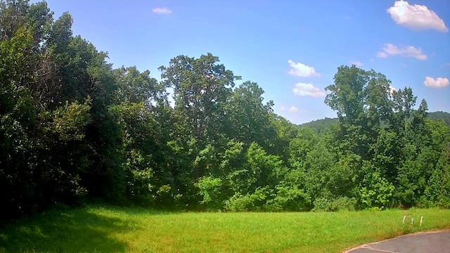 0 Mill Dr Unit 19, Decatur, TN 37322