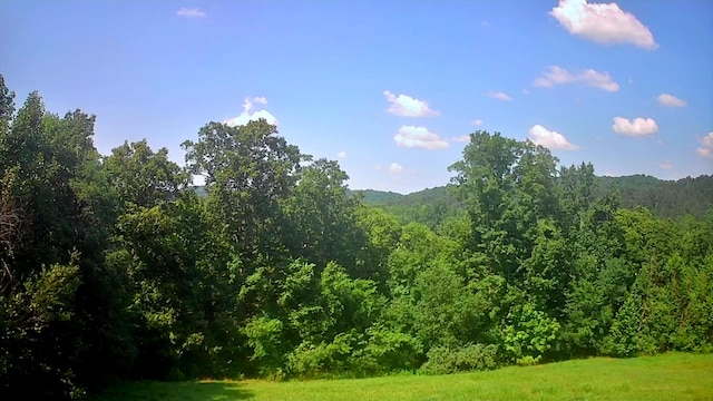 0 Mill Dr Unit 19, Decatur, TN 37322
