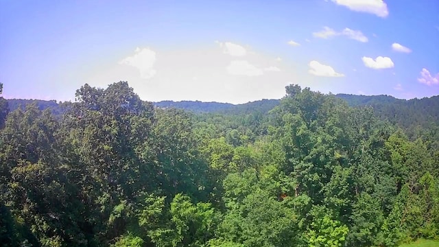 0 Mill Dr Unit 19, Decatur, TN 37322