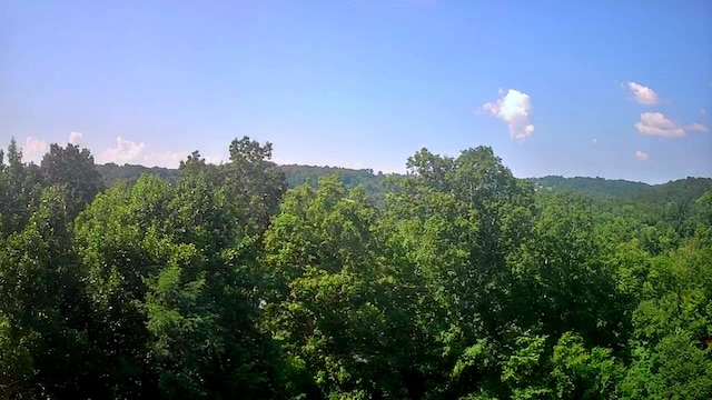 0 Mill Dr Unit 19, Decatur, TN 37322