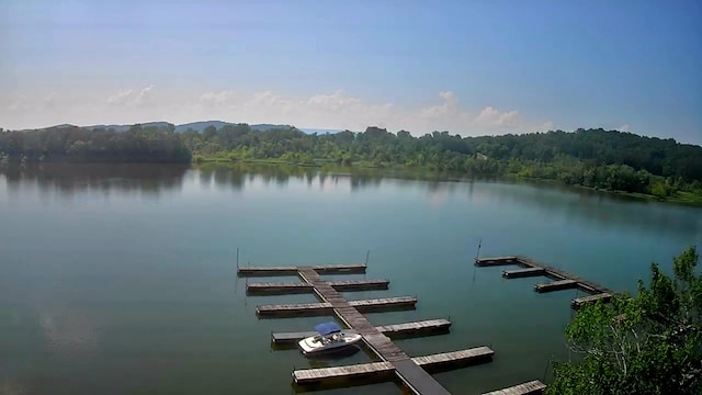 0 Mill Dr Unit 19, Decatur, TN 37322