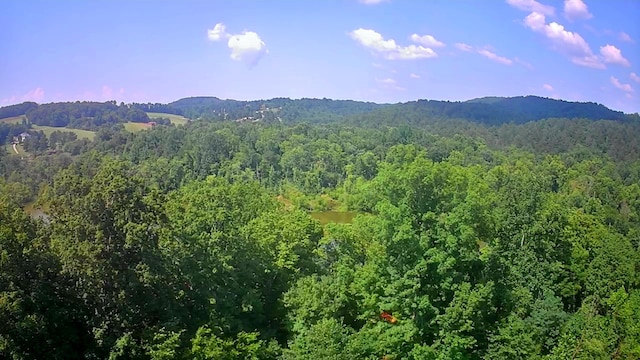 0 Mill Dr Unit 19, Decatur, TN 37322
