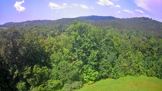 0 Mill Dr Unit 19, Decatur, TN 37322
