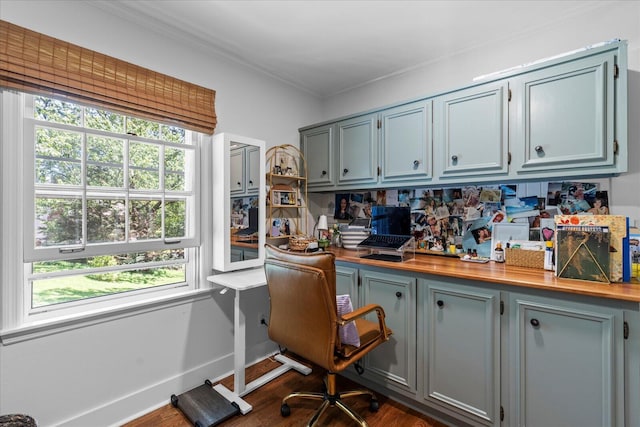 110 Linden St, Lookout Mountain, TN 37350 - office featuring plenty of natural light, ornamental molding, built in study area, and dark wood-type flooring