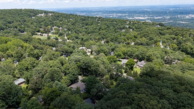 110 Linden St, Lookout Mountain, TN 37350 - aerial view of property and surrounding area with a forest
