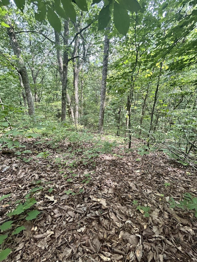 0 Sutton Dr Lot 6, Ringgold, GA 30736 - photo 3