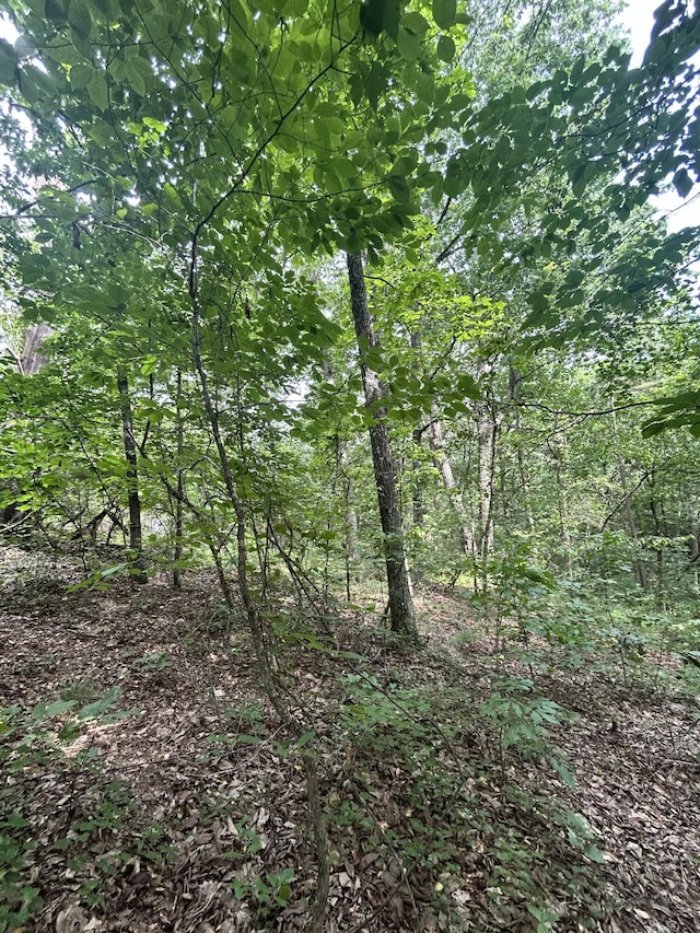 0 Sutton Dr Lot 6, Ringgold, GA 30736 - photo 4