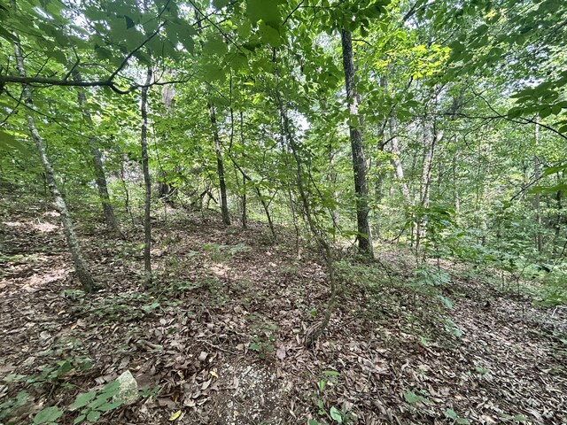 0 Sutton Dr Lot 6, Ringgold, GA 30736 - photo 5