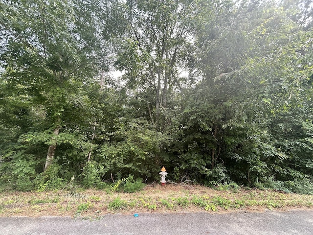 0 Sutton Dr Lot 6, Ringgold, GA 30736 - photo 2