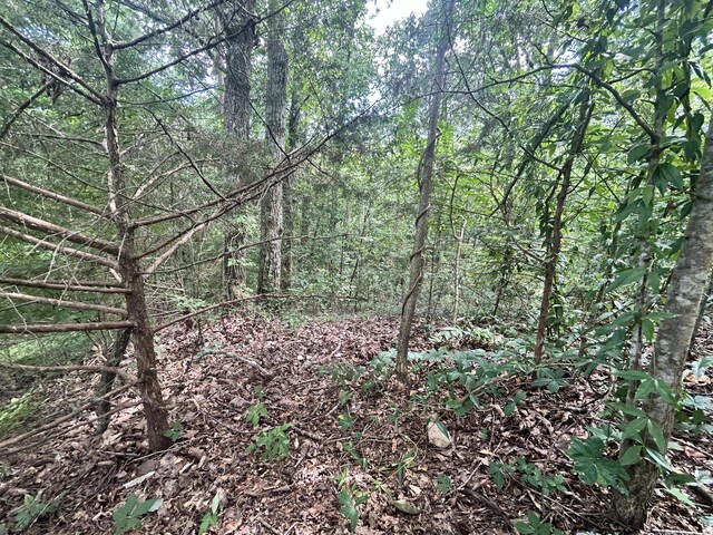 0 Sutton Dr Lot 6, Ringgold, GA 30736 - photo 7
