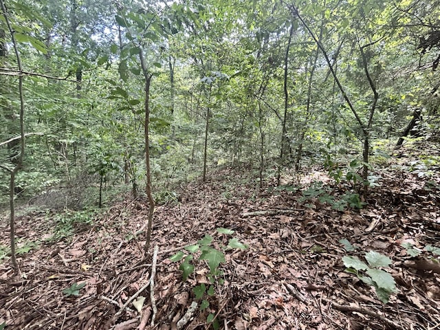 0 Sutton Dr Lot 6, Ringgold, GA 30736 - photo 8