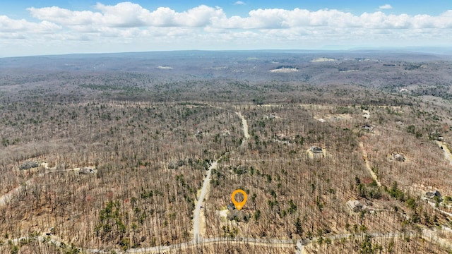 50 E Horseshoe Bend Rd E, Signal Mountain, TN 37377 - photo 29