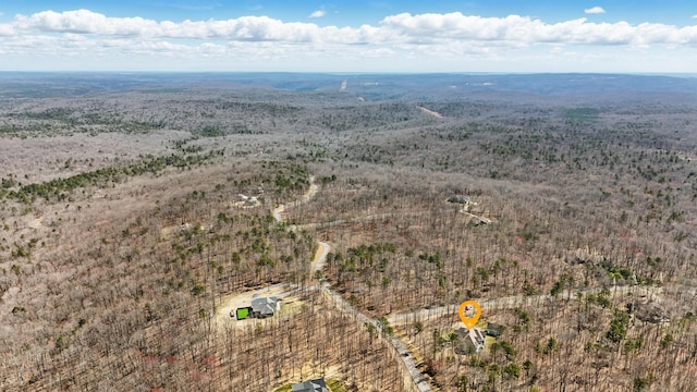 50 E Horseshoe Bend Rd E, Signal Mountain, TN 37377 - photo 30