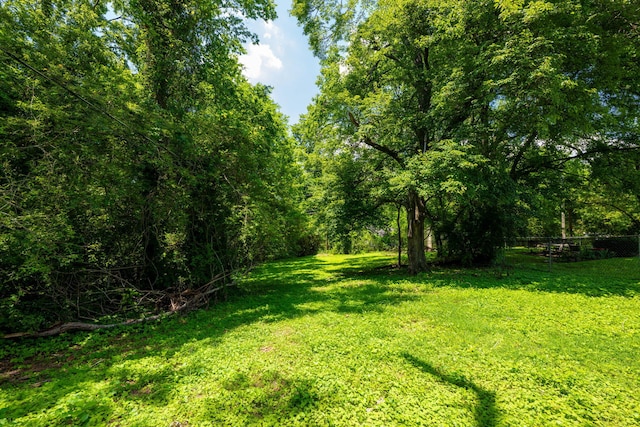 2015 James Ave, Chattanooga, TN 37415 - view of grassy yard