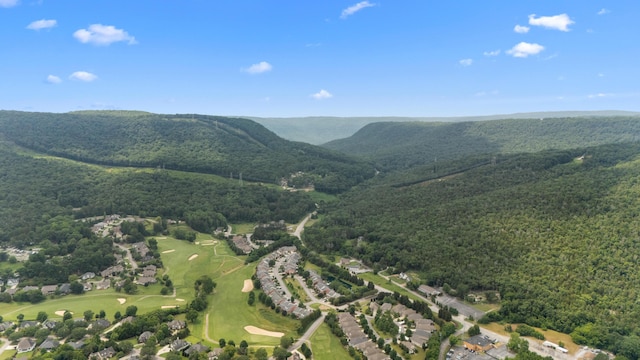 4101 Finch Ln, Chattanooga, TN 37419 - aerial view of property's location featuring a heavily wooded area and a local golf course