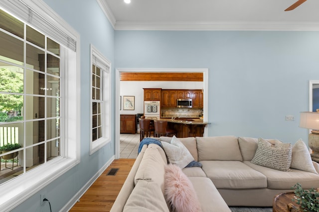 4101 Finch Ln, Chattanooga, TN 37419 - living area with crown molding, light wood-style flooring, and ceiling fan