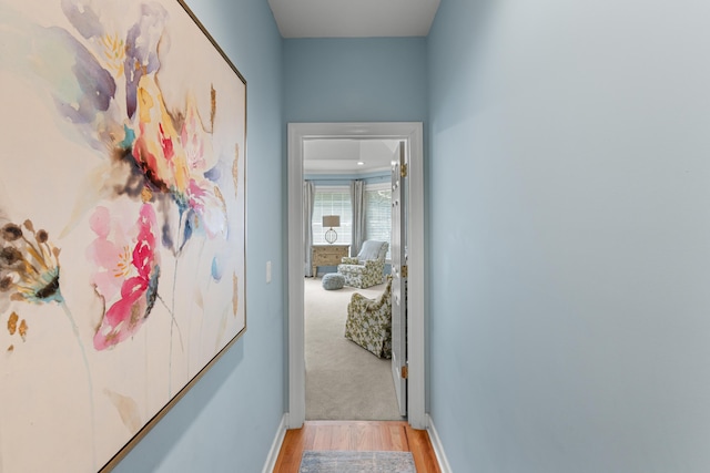 4101 Finch Ln, Chattanooga, TN 37419 - corridor with light wood-type flooring and baseboards
