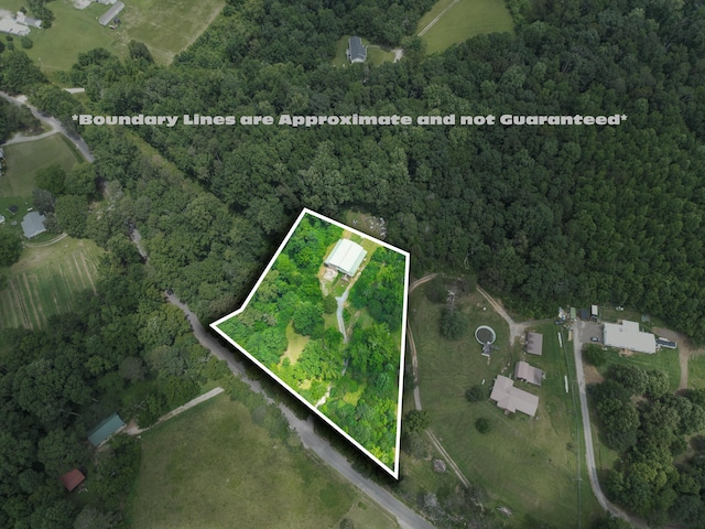 955 County Rd 315, Bryant, AL 35958 - photo 2