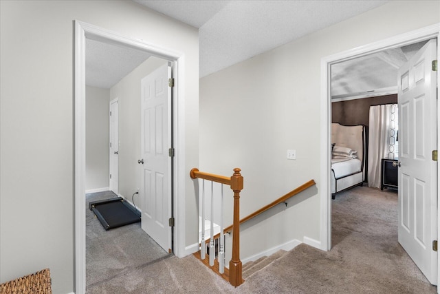 1003 Woodfern Trl, Hixson, TN 37343 - corridor featuring carpet flooring, an upstairs landing, and a textured ceiling