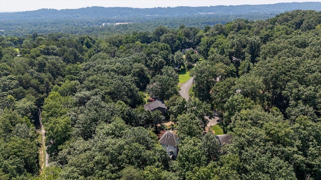 1003 Woodfern Trl, Hixson, TN 37343 - drone / aerial view of a forest
