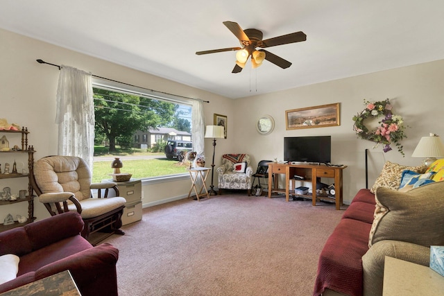 1729 Westland Dr SW, Cleveland, TN 37311 - photo 6