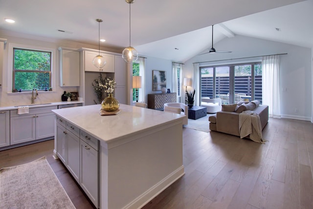 7829 Lemonade St, Chattanooga, TN 37421 - kitchen with open floor plan, healthy amount of natural light, light countertops, dark wood-style flooring, and recessed lighting