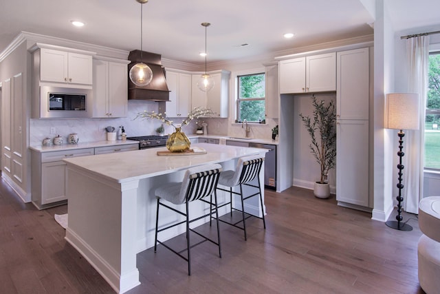 7829 Lemonade St, Chattanooga, TN 37421 - kitchen with custom exhaust hood, appliances with stainless steel finishes, light countertops, dark wood finished floors, and plenty of natural light