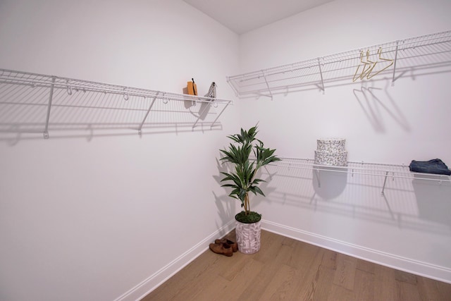 7829 Lemonade St, Chattanooga, TN 37421 - walk in closet with wood finished floors