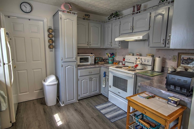 11080 US-11, Trenton, GA 30752 - kitchen with white appliances, under cabinet range hood, wood finished floors, a textured ceiling, and gray cabinetry