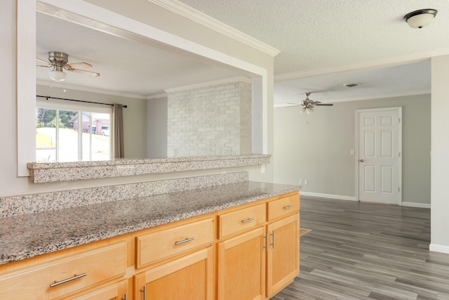 5229 Loblolly Ln, Ooltewah, TN 37363 - kitchen featuring ceiling fan, wood finished floors, ornamental molding, a textured ceiling, and light brown cabinetry