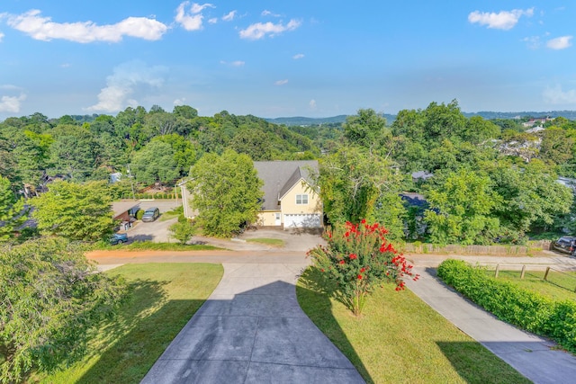1120 Fairmount Ave, Chattanooga, TN 37405 - photo 59