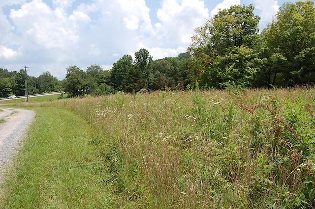 10 Laural Brook Rd, Dunlap, TN 37327 - photo 1