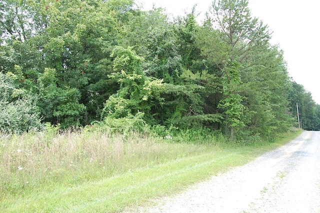 10 Laural Brook Rd, Dunlap, TN 37327 - photo 2
