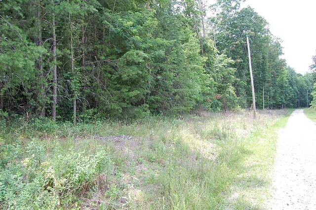 10 Laural Brook Rd, Dunlap, TN 37327 - photo 10