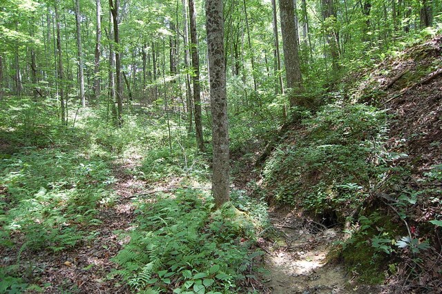 10 Laural Brook Rd, Dunlap, TN 37327 - photo 14