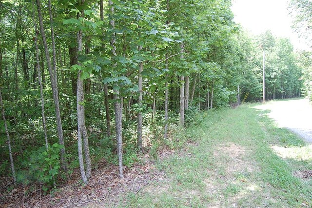 10 Laural Brook Rd, Dunlap, TN 37327 - photo 16